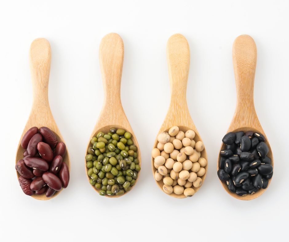 Probiotici e Prebiotici Legumi e Cereali