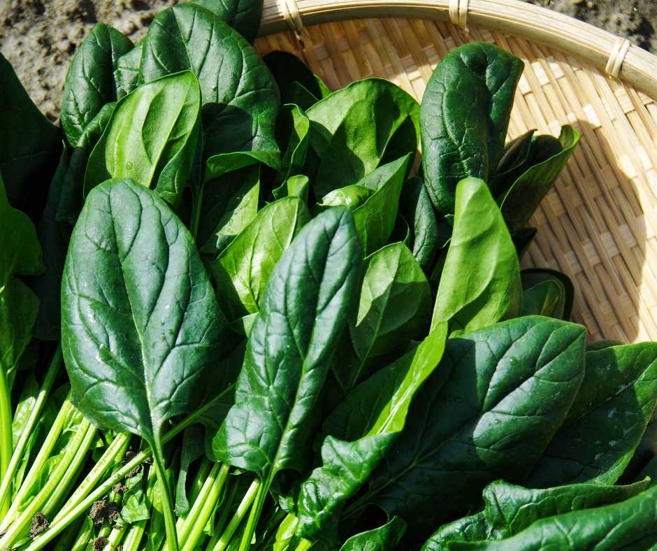 Metodo Apollo e Dieta con verdure a foglia verde