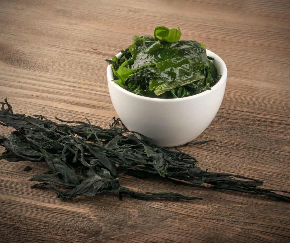 Alghe Scure cotte e secche