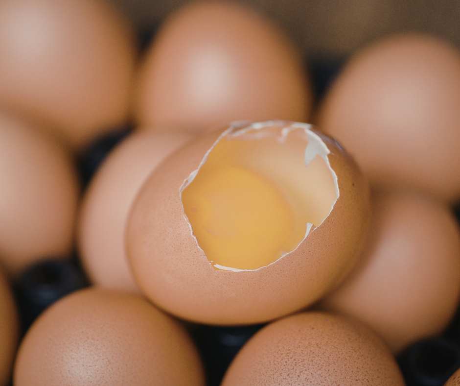 Uova e dieta: uova crude